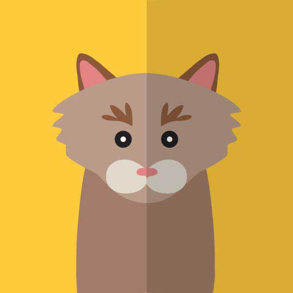 avatars